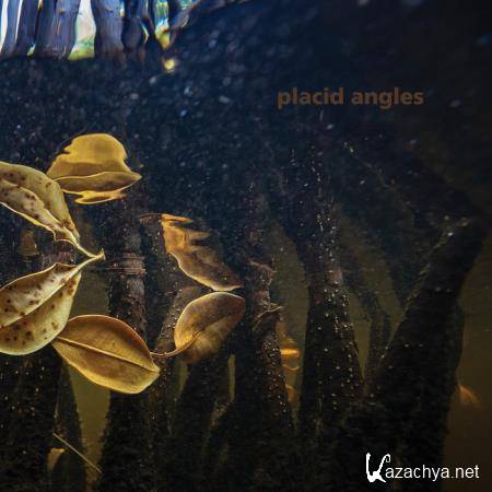 Placid Angles - Touch The Earth (2021)