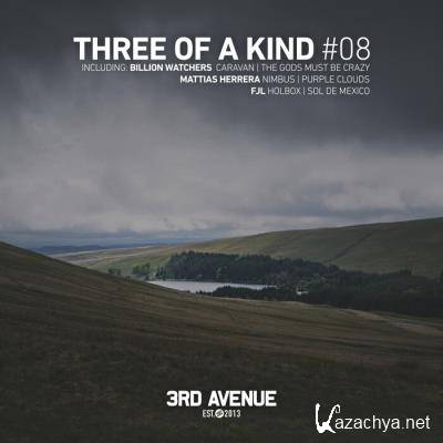 Three Of A Kind #08 (2021)