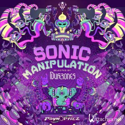 Sonic Manipulation (Selected by Duferones) (2021) FLAC