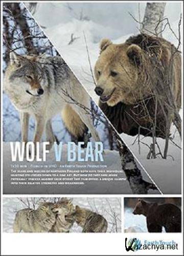    / Wolf vs. Bear (2018) HDTVRip 720p
