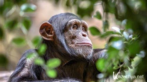 Wallpapers Mix �915