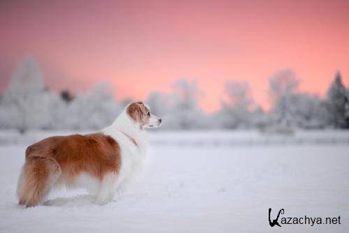 Wallpapers Mix �915