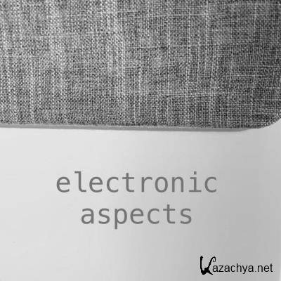 Electronic Aspects XVII (2021)
