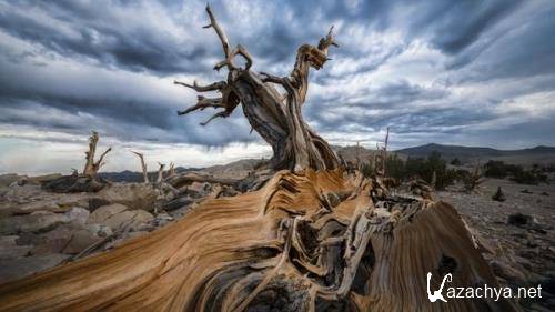 Wallpapers Mix №919 Wallpapers Mix №919