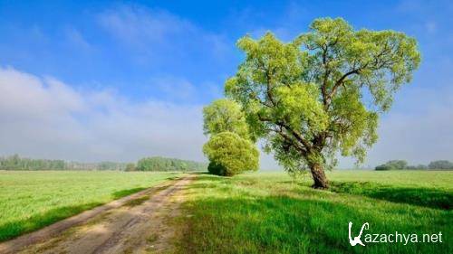 Wallpapers Mix №921 Wallpapers Mix №921