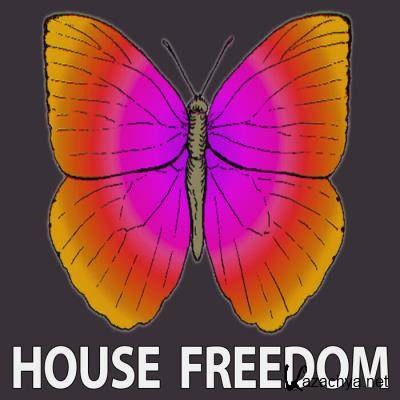 House Freedom - Deep Color (2021)