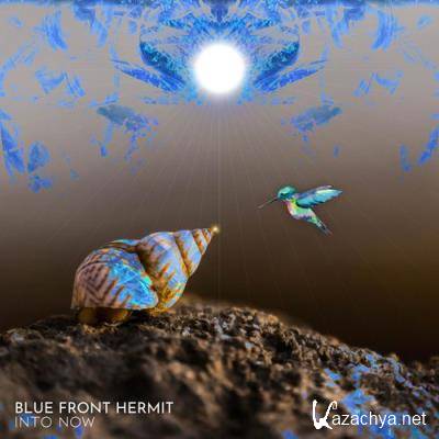 Blue Front Hermit - Into Now (2021)