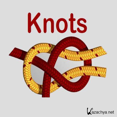 Knots 3D 7.7.0 (Android)