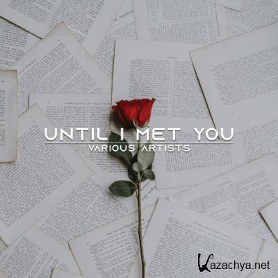 Until I Met You (2021)