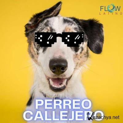 Flow Latino - Perreo Callejero (2022)