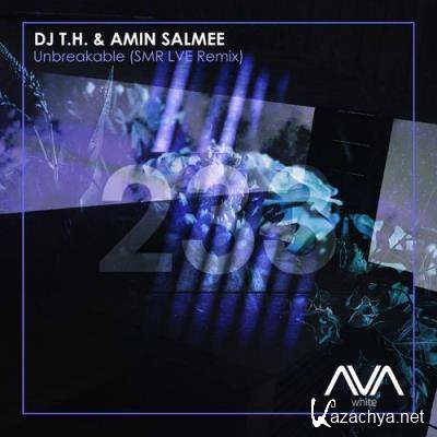 DJ T.H & Amin Salmee - Unbreakable (SMR LVE Remix) (2022)