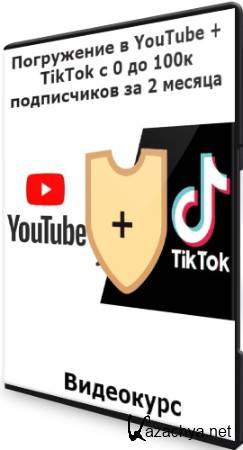   YouTube + TikTok  0  100   2  (2021) 