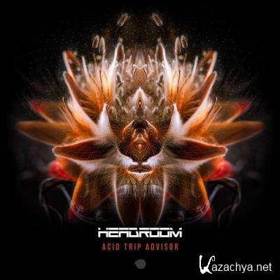 Headroom - Acid Trip Advisor (2022)