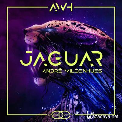 Andre Wildenhues - Jaguar (2022)