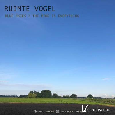 Ruimte Vogel - Blue Skies (2022)
