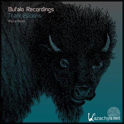 Marco Bedini - Trancesitions (2022)