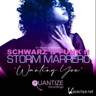 Schwarz & Funk & Storm Marrero - Wanting You (2022)