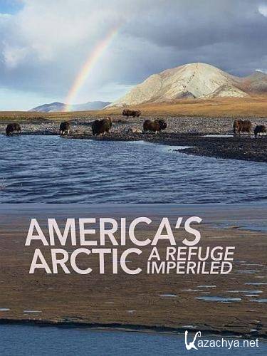 Американская Арктика - заповедные земли под угрозой / America’s Arctic – A Refuge Imperiled (2020) HDTVRip 720p