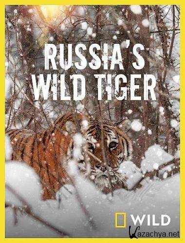    / Russia's Wild Tiger (2022) HDTV 1080i