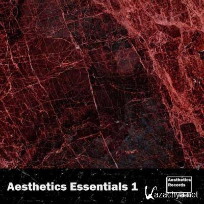Aesthetics Essentials 1 (2022)