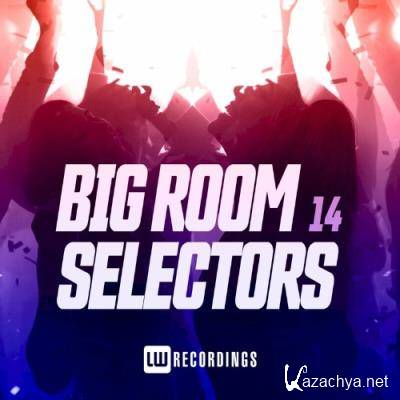 Big Room Selectors, 14 (2022)