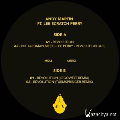 Andy Martin Ft. Lee Scratch Perry - Revolution (2022)