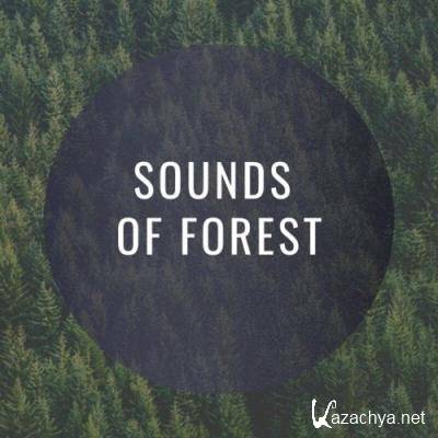Masa - Sounds of Forest (2022)