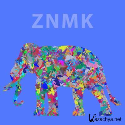 ZNMK - Culture of Sound (2022)