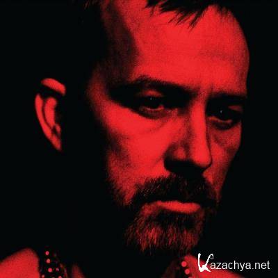 Duquette Johnston - The Social Animals (2022) Duquette Johnston - The Social Animals (2022)