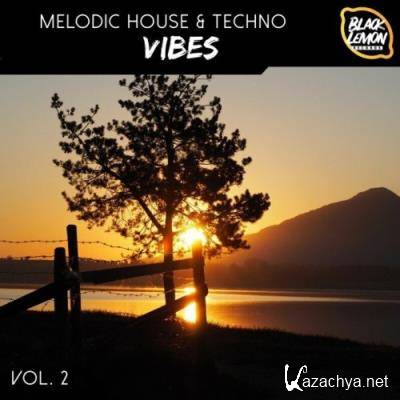 Melodic House & Techno Vibes, Vol. 2 (2022)