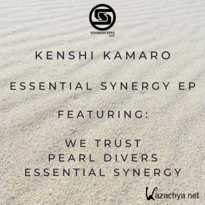 Kenshi Kamaro - Essential Synergy (2022)