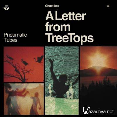 Pneumatic Tubes - A Letter from TreeTops (2022)