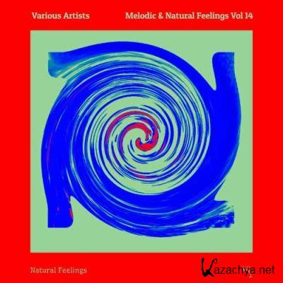Melodic & Natural Feelings Vol 14 (2022)
