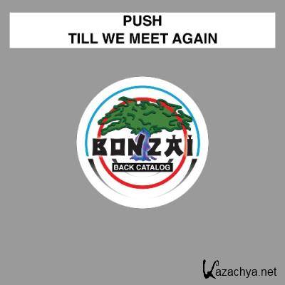 Push - Till We Meet Again (2022)