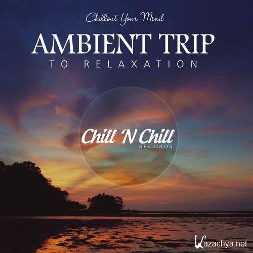 VA - Ambient Trip to Relaxation Chillout Your Mind (2021)