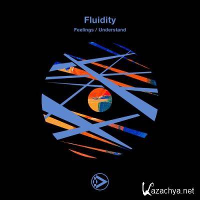 Fluidity - Feelings / Understand (2022)