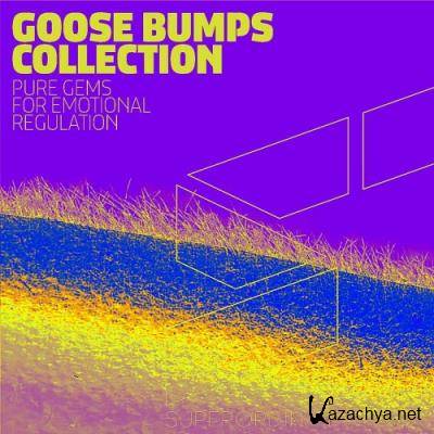 Goose Bumps Collection, Vol. 7 (2022)