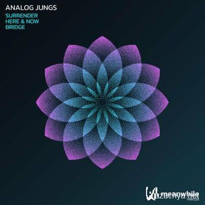 Analog Jungs - Surrender (2022)