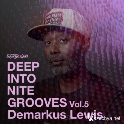 Deep Into Nite Grooves, Vol. 5 (2022)