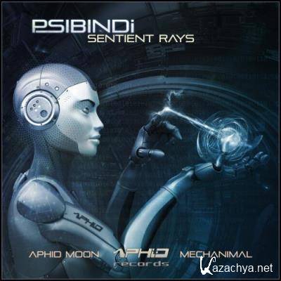 Psibindi & Aphid Moon - Sentient Rays (2022)