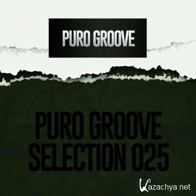 PURO GROOVE SELECTION 025 (2022)