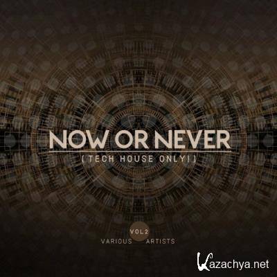 Now Or Never, Vol. 2 (Tech House ONLY!) (2022)