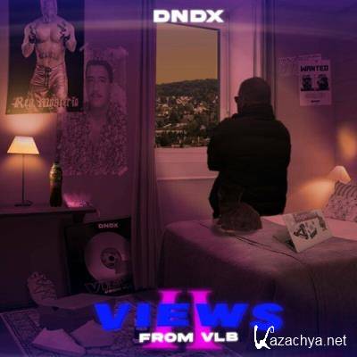 DNDX - VIEWS FROM VLB 2 (2022)