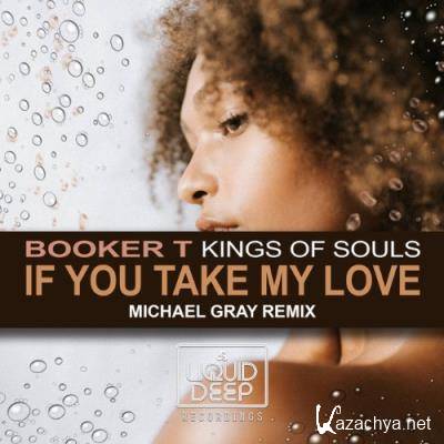 Booker T & Kings Of Soul - If You Take My Love (Michael Gray Remix) (2022)