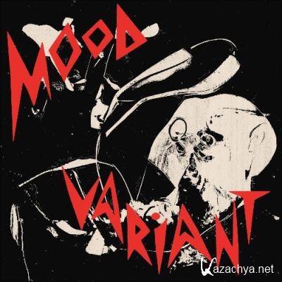 Hiatus Kaiyote, Arthur Verocai - Mood Variant (The Remixes) (2022)