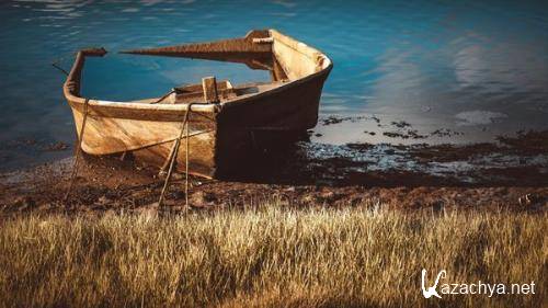 Wallpapers Mix �978