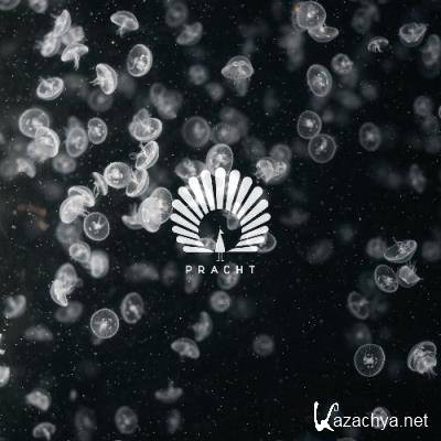 Oliver Schories & Bailey - Lotus (2022)