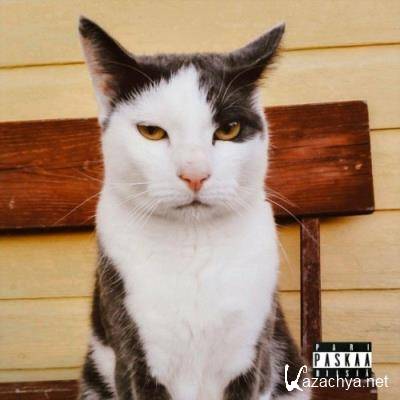 Muuan mies - Pari paskaa biisia (2022)