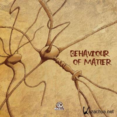 Behaviour Of Matter (2022)