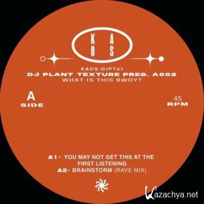 DJ Plant Texture Pres A662 - What Is This Bwoy? (2022)